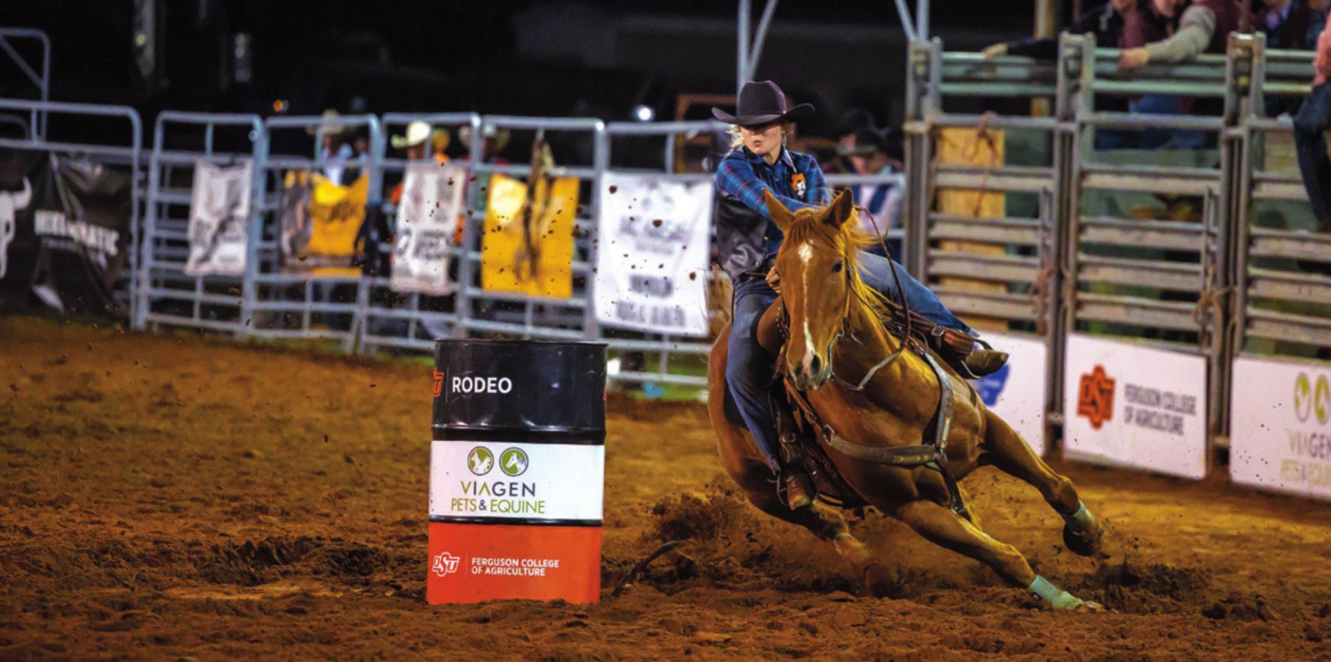 OSU to send five to College National Finals Rodeo | Ponca City News