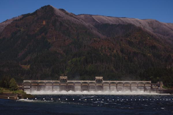 BONNEVILLE DAM in the Columbia River Gorge on June 12 2024. (Erika Schultz/The Seattle Times/TNS)